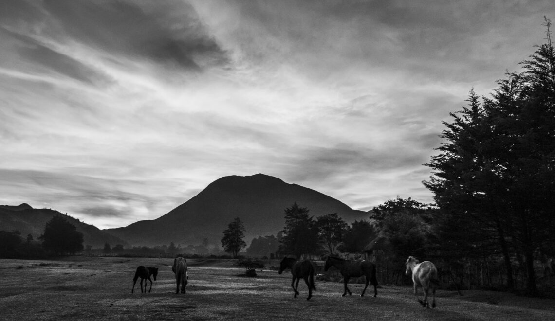 Una manada de caballos y yeguas cabalgan al amanecer sobre el Valle de Nabusimake, capital del pueblo arhuaco.
César, Colombia, 14 de septiembre, 2018